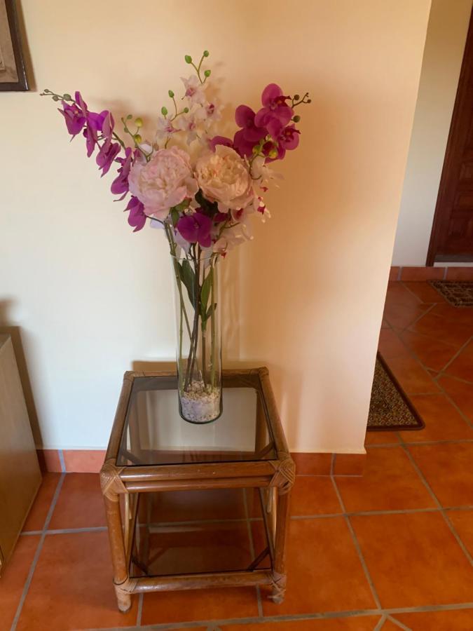 Casa Fraile San Miguel San Miguel de Allende